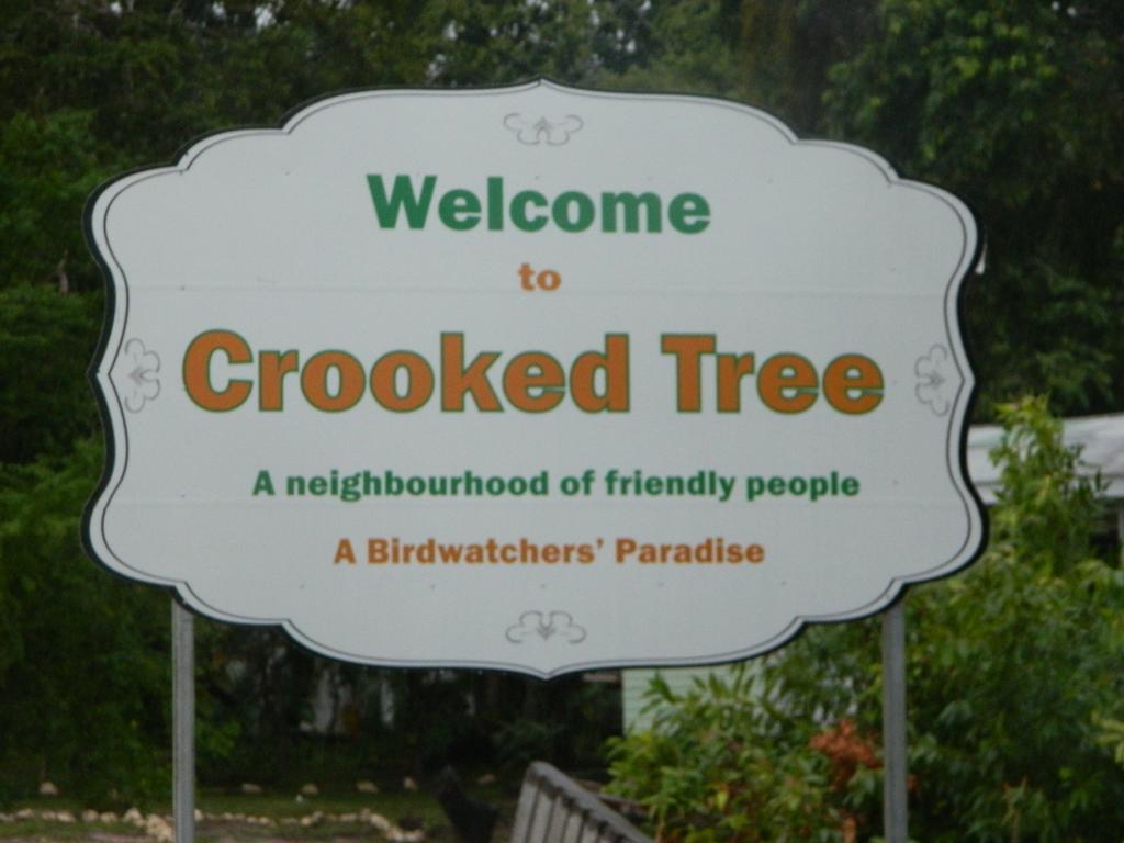 Becks Bed & Breakfast Crooked Tree Exterior foto